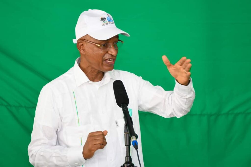 Immigration : Ce que Cellou Dalein Diallo pense du mouvement « Quittons le pays ! »